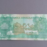 Банкнота - Сомалиленд - 5000 шилинга UNC | 2016г., снимка 2 - Нумизматика и бонистика - 42960848