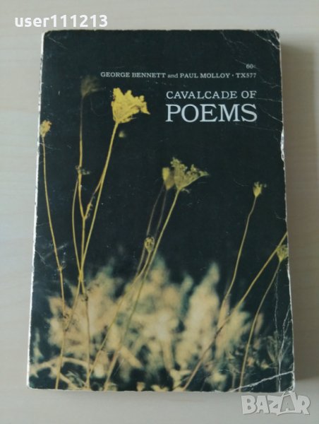 Cavalcade of poems поезия, снимка 1