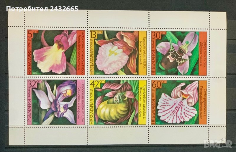 1949. България 1986 = БК 3441 /46 :  ” Флора. Орхидеи. ”, **, MNH, снимка 1