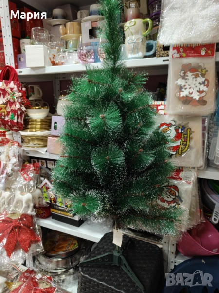 Елха, снимка 1