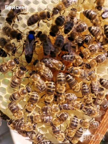 5 отводки, снимка 1