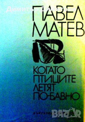 Когато птиците летят по-бавно Павел Матев, снимка 1