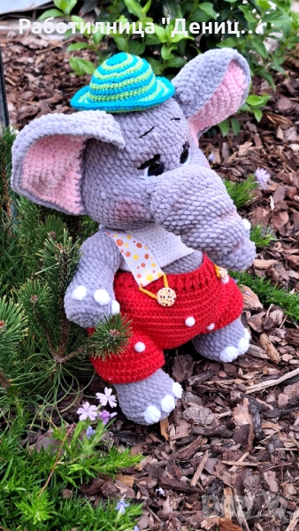 Слонче , снимка 1