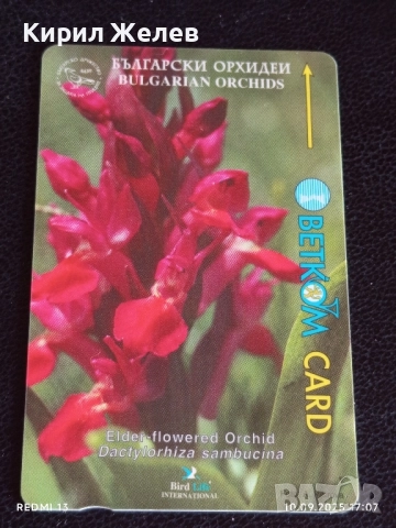 Две фонокарти БЕТКОМ, МОБИКА тема ЦВЕТЯ ОРХИДЕИ за КОЛЕКЦИЯ ДЕКОРАЦИЯ 31427, снимка 4 - Колекции - 51668886