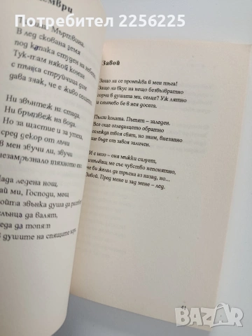 Една надежда, снимка 4 - Художествена литература - 53178530