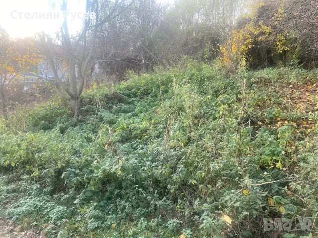 терен / градина / имот / парцел 1620кв.м в с. Ветрен / обл. Силистра - цена 16 600лв - двор 1620кв С, снимка 3 - Парцели - 49801432