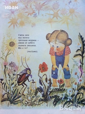 Водни кончета-гатанки - Богомил Евтимов - 1980г., снимка 3 - Детски книжки - 43788484