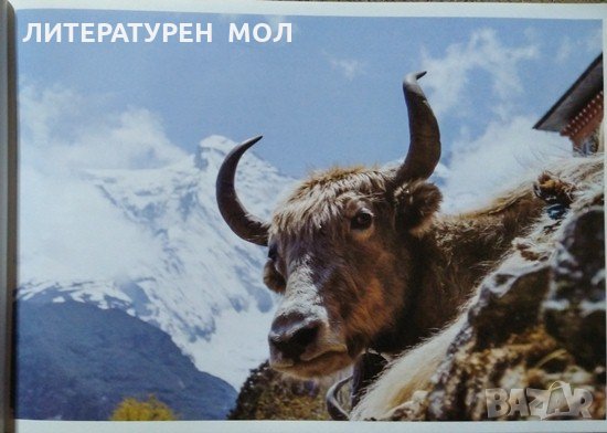 Хималайски уроци. Стоян Маринов 2015 Г., снимка 4 - Други - 27769648