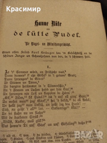 Фриц Ройтер Хане .1890 г ., снимка 10 - Антикварни и старинни предмети - 51021357