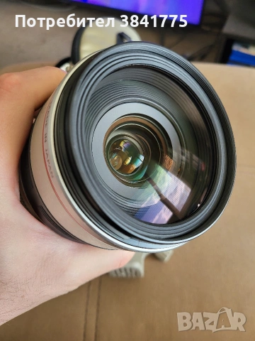 Canon EF 28-300mm f/3.5-5.6 L IS USM ULTRASONIC, снимка 5 - Обективи и филтри - 53454105