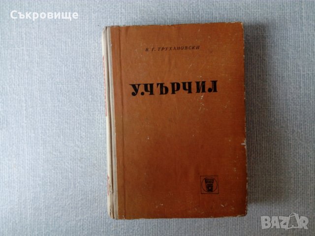 Политическа биография на Чърчил, снимка 1