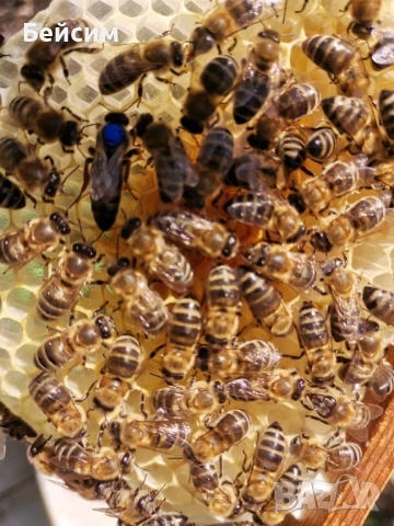 5 отводки, снимка 1