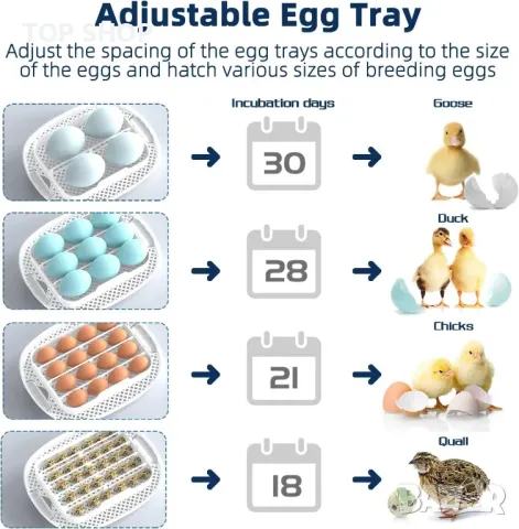 Автоматичен смарт инкубатор 16 яйца от Oifecsie, снимка 5 - За селскостопански - 48638480