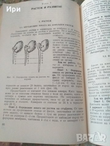 Ръководство за упражнения по физиология на растенията, снимка 3 - Специализирана литература - 33185385