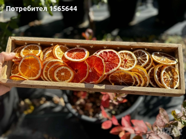 Сушени плодове за декорация , снимка 3 - Други - 52145495