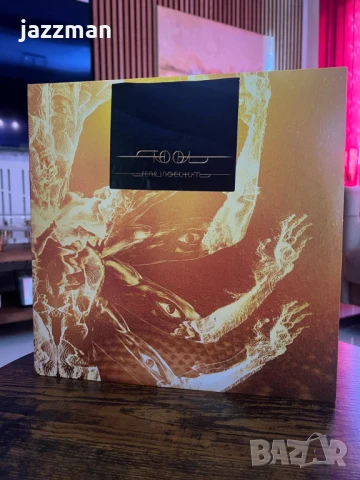 TOOL – Fear Inoculum (Deluxe Vinyl Box Set), снимка 1
