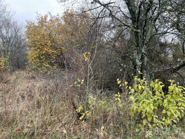  Продавам парцел в регулация на 35 минути от центъра на София , снимка 3 - Парцели - 53498829