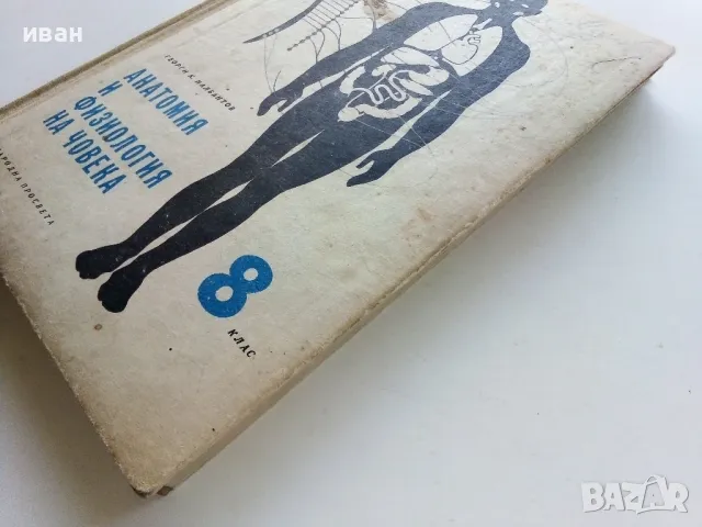 Анатомия и Физиология на човека 8 клас. - Г.Налбантов - 1967г., снимка 13 - Учебници, учебни тетрадки - 49699243