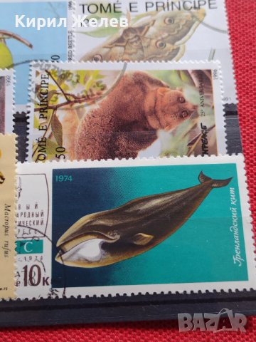 Пощенски марки смесени от цял свят ЖИВОТНИ за КОЛЕКЦИЯ 22615, снимка 11 - Филателия - 40344342