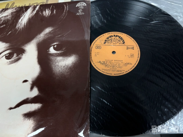 Грамофонни Плочи/6 броя за 29€/, снимка 11 - Грамофонни плочи - 53491401