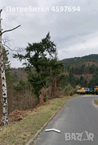 Продава се Парцел в с.Баните, Смолян, снимка 5 - Земеделска земя - 52245828