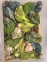 Ръчно хранени папагали Монах и Амазони , снимка 3