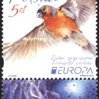 Чиста марка Европа СЕПТ Птица 2019 от Полша, снимка 1 - Филателия - 37675635