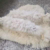 Огромна овча кожа 100 % качество , снимка 2 - Декорация за дома - 38030665