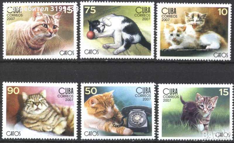 Чисти марки Фауна Котки 2007 от Куба, снимка 1