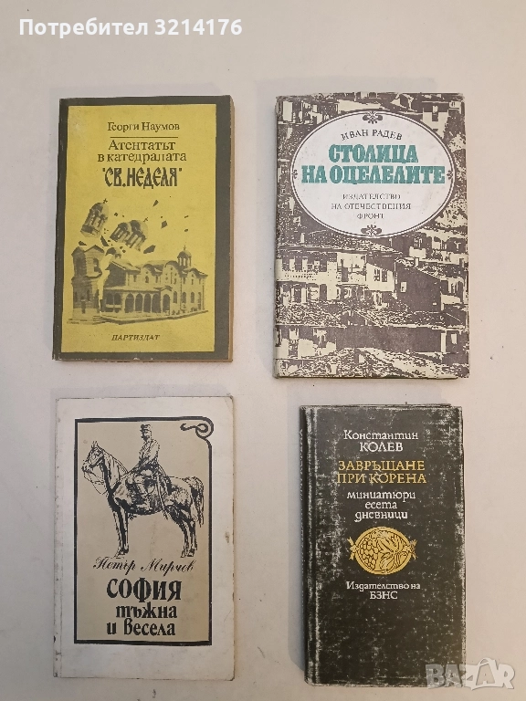 Столица на оцелелите - Иван Радев (Отлично състояние), снимка 1