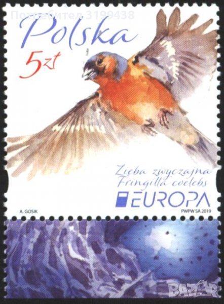 Чиста марка Европа СЕПТ Птица 2019 от Полша, снимка 1