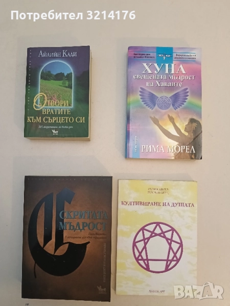 Скритата мъдрост. Пътеводител в западните духовни традиции - Ричард Смоули, Джей Кини, снимка 1