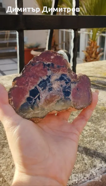 Вкаменено дърво. Природно чудо., снимка 1