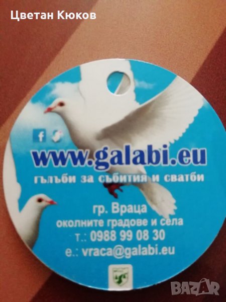 Гълъби за сватби и събития, снимка 1