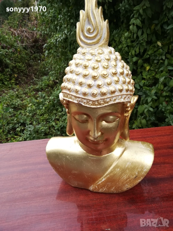 БУДА БЮСТ-ВНОС ГЕРМАНИЯ 2311252030LCHERY1, снимка 1