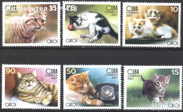 Чисти марки Фауна Котки 2007 от Куба, снимка 1 - Филателия - 34572406