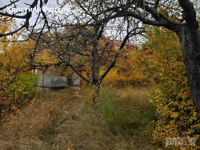 Парцел Войнеговци, снимка 2 - Парцели - 48595351