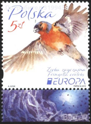 Чиста марка Европа СЕПТ Птица 2019 от Полша, снимка 1 - Филателия - 37675635