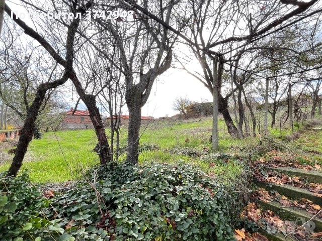 Двуетажна къща голям двор, снимка 13 - Къщи - 52531950