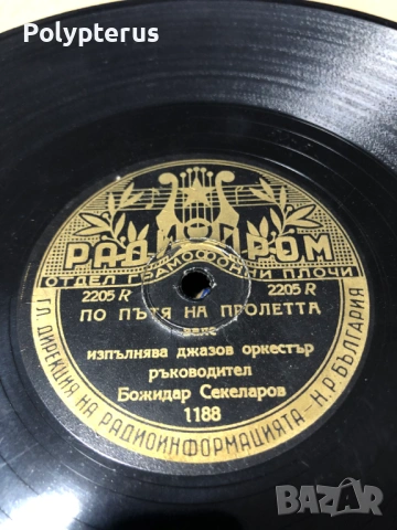 Стара българска шеллакова плоча, снимка 2 - Грамофонни плочи - 53532960