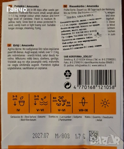 Семена за тиква-различни сортове, фасул - видове и царевица, снимка 3 - Сортови семена и луковици - 53135786