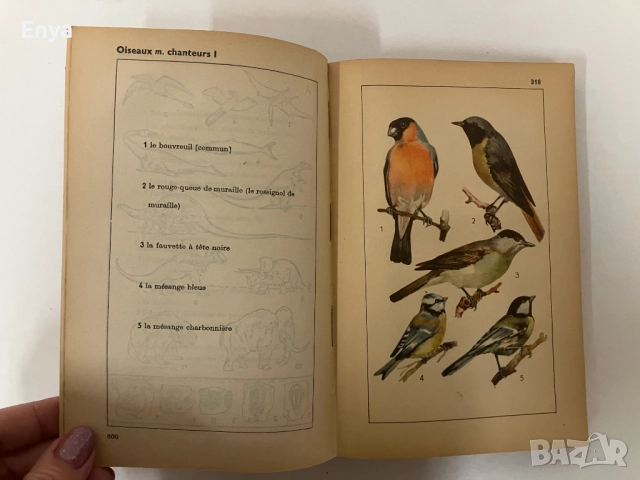 Duden francais - Илюстрован речник на френски език, снимка 5 - Антикварни и старинни предмети - 52402260