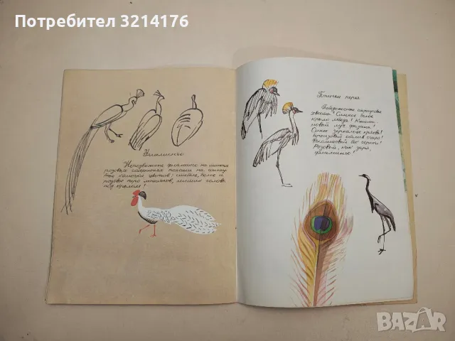 А как бежал олень - Эльмира Котляр , снимка 2 - Детски книжки - 48294200