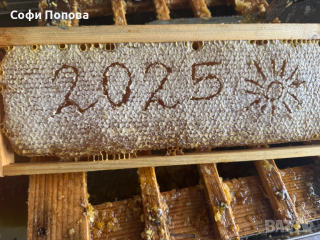 НАТУРАЛЕН ПЧЕЛЕН МЕД, снимка 2 - Пчелни продукти - 34856715