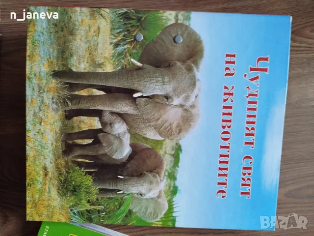 детски книжки, снимка 6 - Детски книжки - 49597372