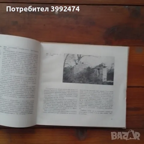 Скални цветни кътове и алпинеуми,1969, снимка 4 - Антикварни и старинни предмети - 49138765