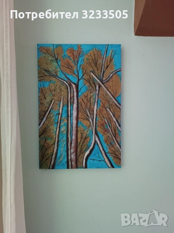 Картина 30/50