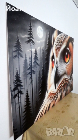 Пвц пано 5мм дебелина с Роналдо, снимка 11 - Пана - 52386514