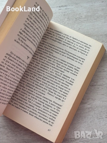 Пчелата – Оура Лов , снимка 8 - Други - 53199383