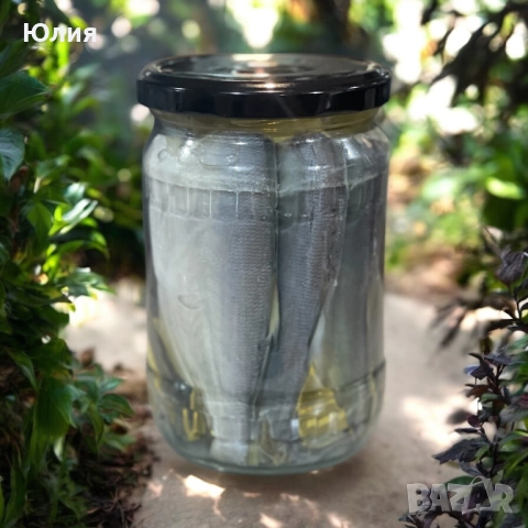 Риба - Веян паламуд , студено- пушен Паламуд,  буркан Ропотамо, Лакерда (маринован) , пресен улов, снимка 8 - Домашни продукти - 38862710